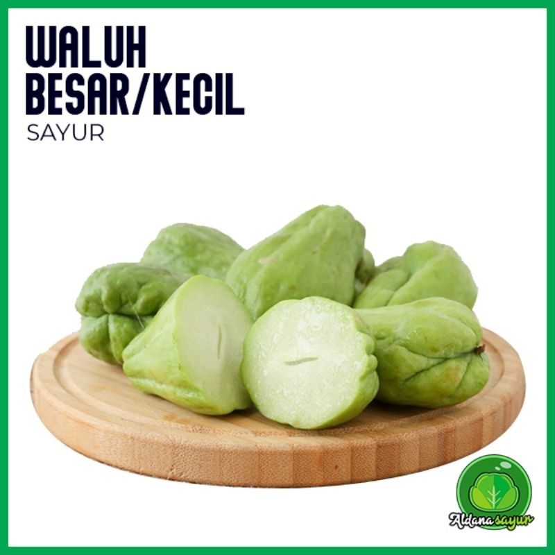 

Waluh Besar / Kecil Aldana Sayur Garut