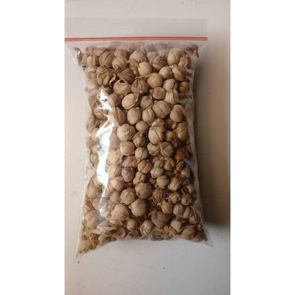 

Kapulaga / Cardamom 100 Gr Rempah Bumbu Masak Dapur