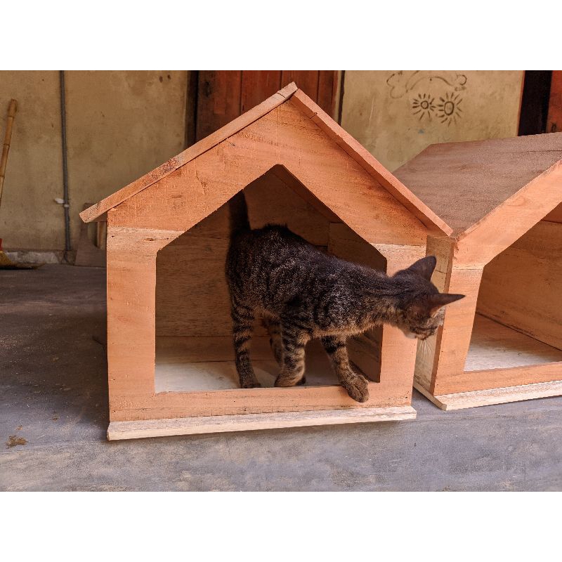 Kandang Kucing & Anjing Jumbo 100x80x80 cm – Kayu Solid Tebal, Pet House Besar untuk Indoor & Outdoo