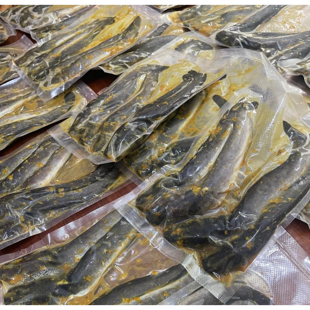 

Lele ungkep isi 3 atau 4 random berat sama