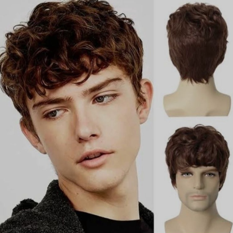 Hadir Pilihan  wig pria wig pendek pria warna hitam