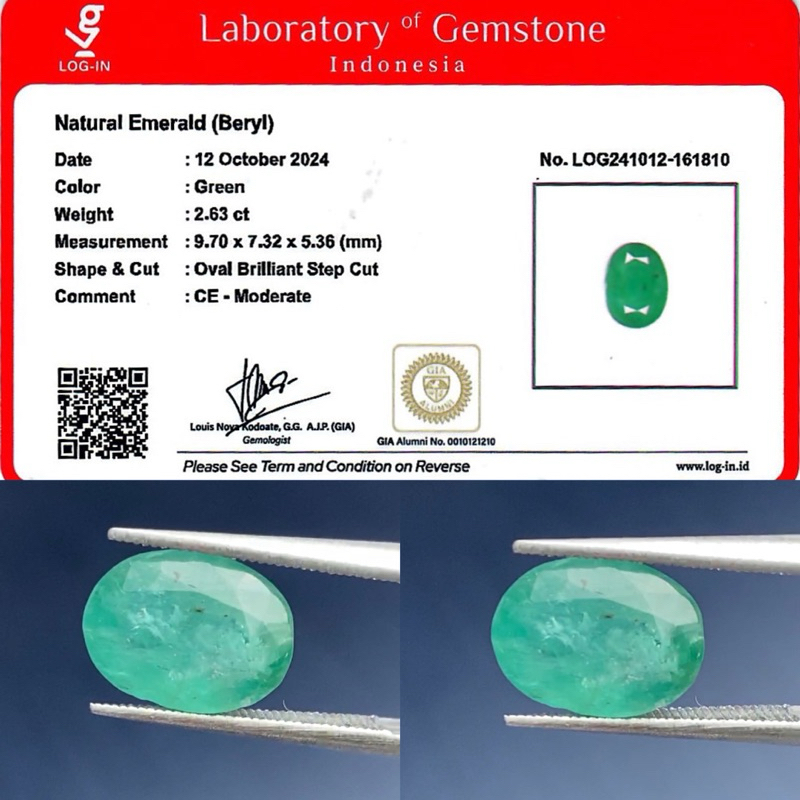 Natural Zamrud Emerald Beryl 2,63 ct Memo LOGIN