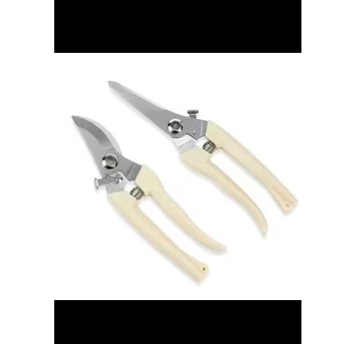 Gunting tanaman - gunting bunga - peralatan berkebun