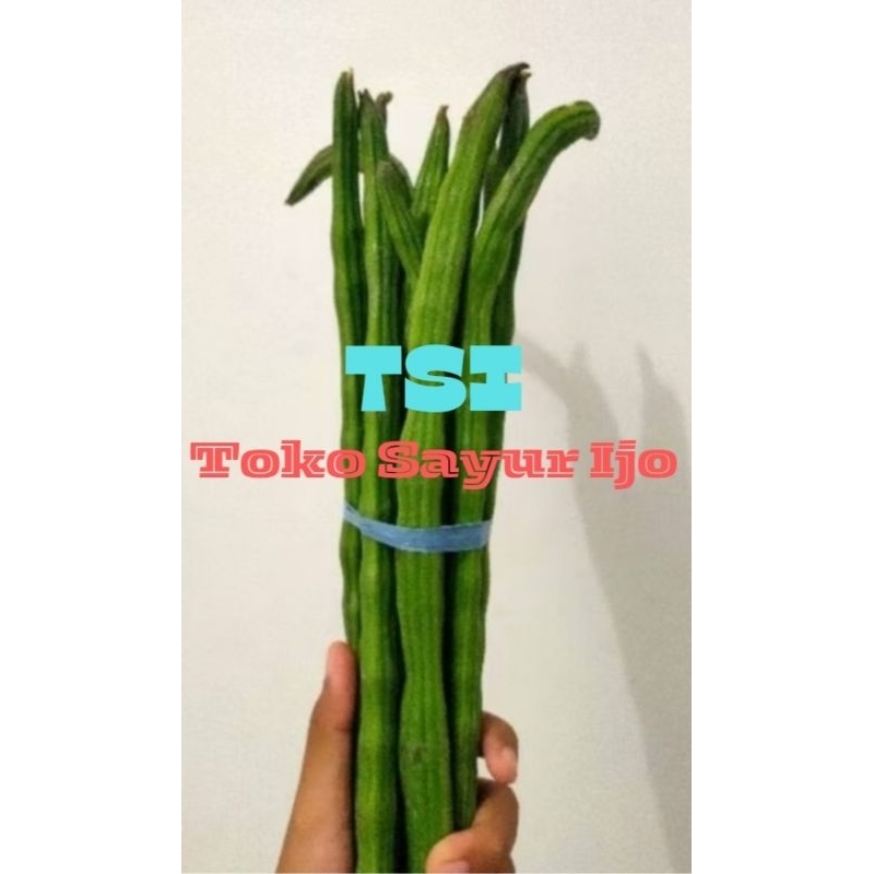 

Sayur Klentang per Ikat - Kirim Instan