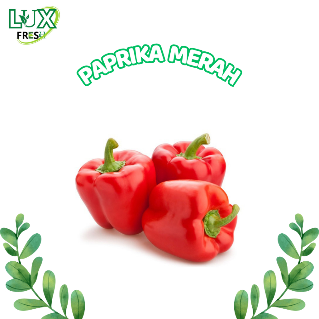 

PAPRIKA MERAH DAN HIJAU 500 GRAM DAN 1 KG SEGAR DAN BERKUALITAS