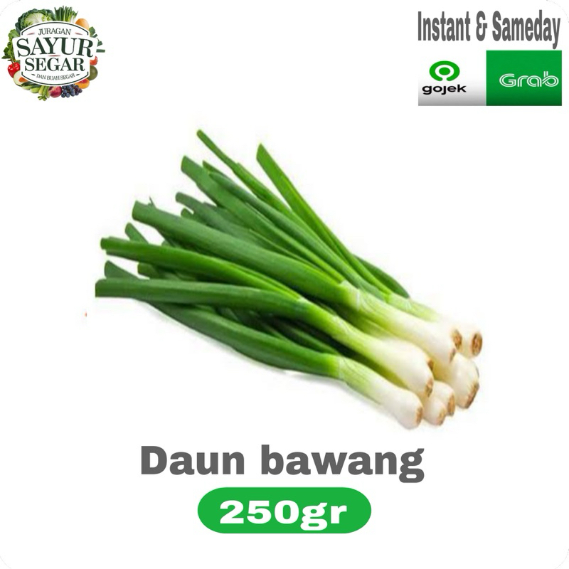 

DAUN BAWANG campur SELEDRI murah Instan 250gr/500gr/1kg