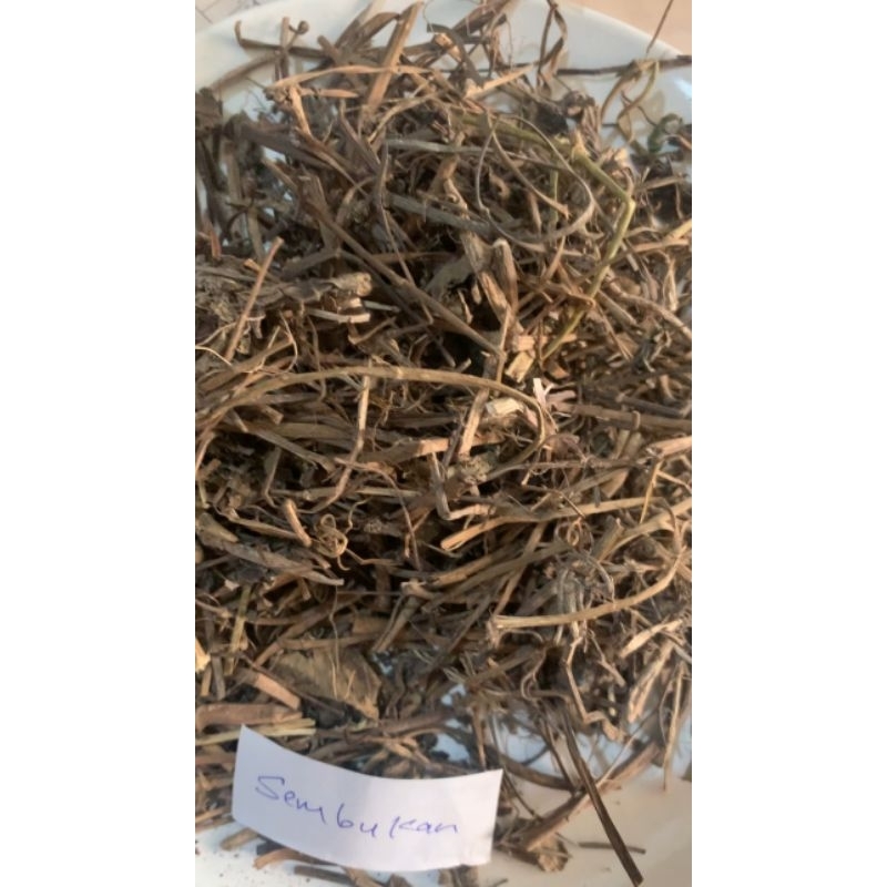 

Sembukan Kering 500gr bisa cod