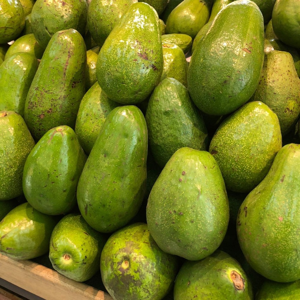 

Alpukat mentega 1kg