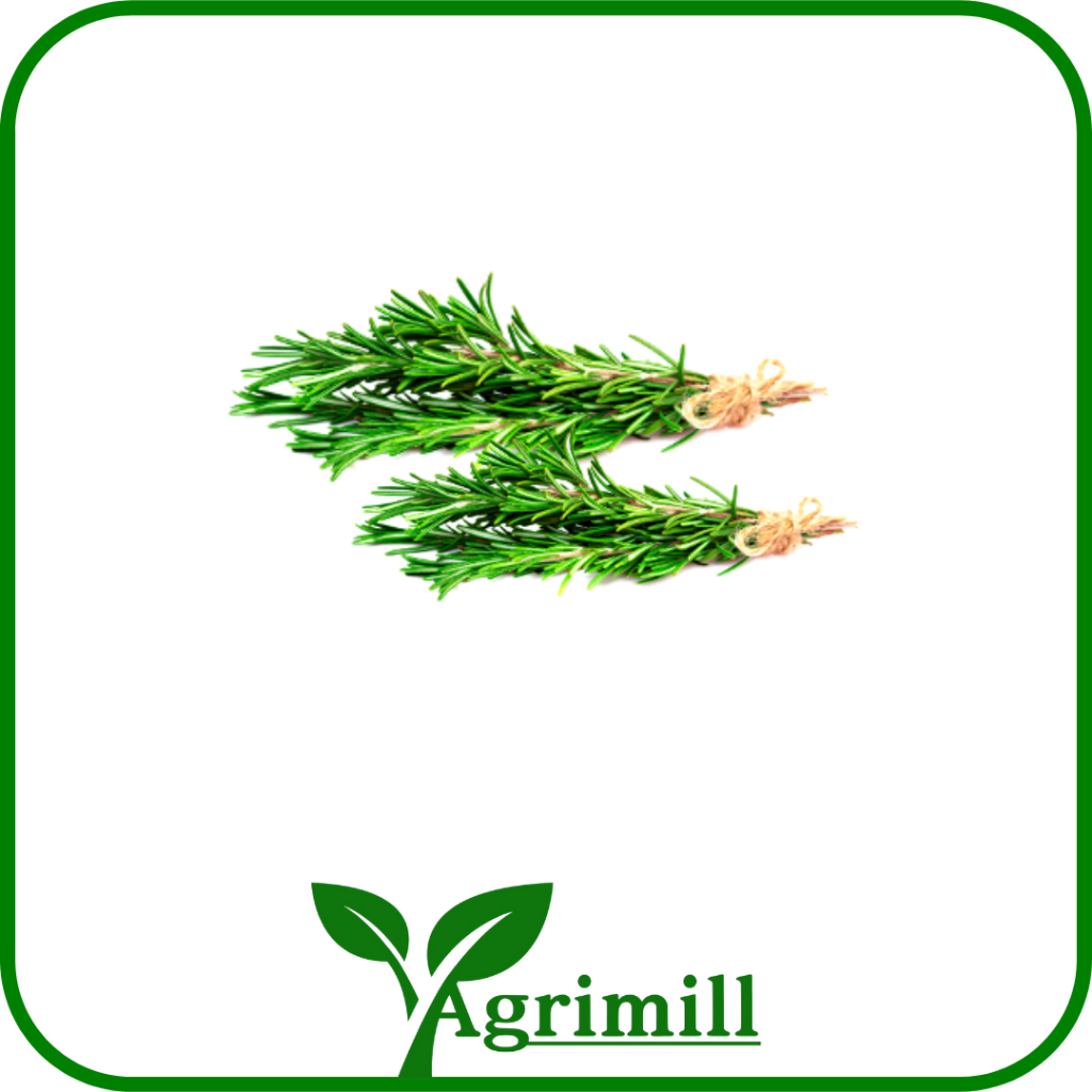 

Rosemary per pack