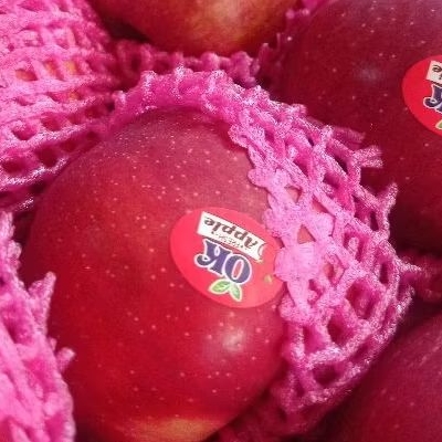 Buah Apel merah / red star 1 kg