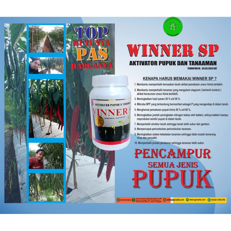 Aktivator Pupuk ZPT Alami WINNER SP 500gr