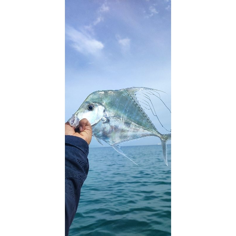 

ikan dan buah segar