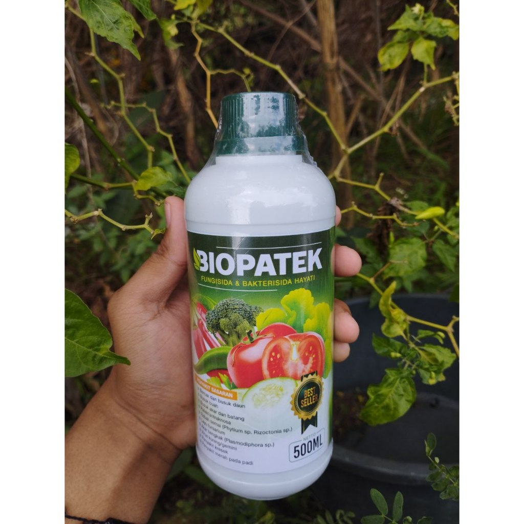 OBAT HAMA PATEK CABE ALAMI > OBAT PATEK CABE AMPUH > OBAT PATEK CABE ORGANIK - NOPATEK ASLI