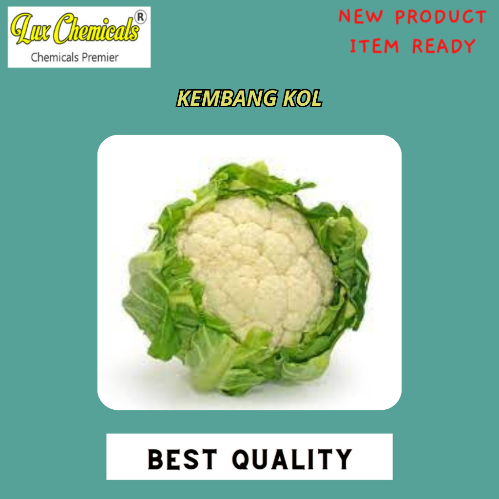 

KEMBANG KOL BEST SELLER 500 GRAM DAN 1000 GRAM