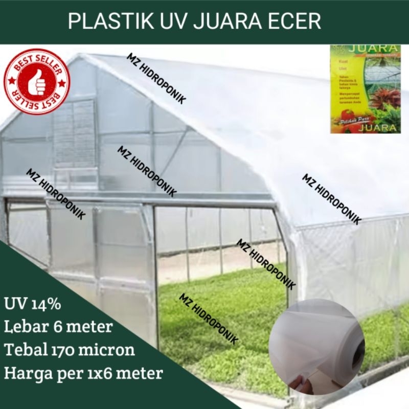 plastik uv juara lebar 6 meter tebal 170 micron uv 14%