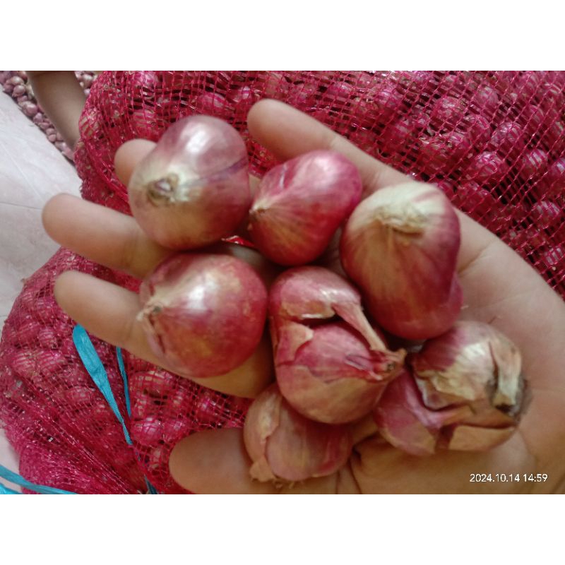 

BAWANG MERAH SUPER 1KG