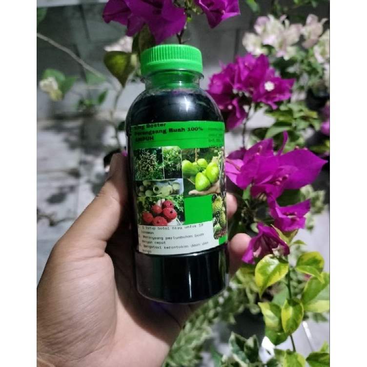 Selalu Baru pupuk king booster
