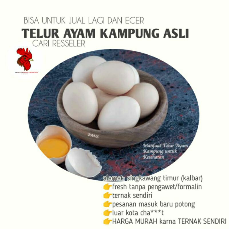 

TELUR AYAM KAMPUNG ASLI ,TELUR AYAM KAMPUNG ALAMI ,TELUR AYAM