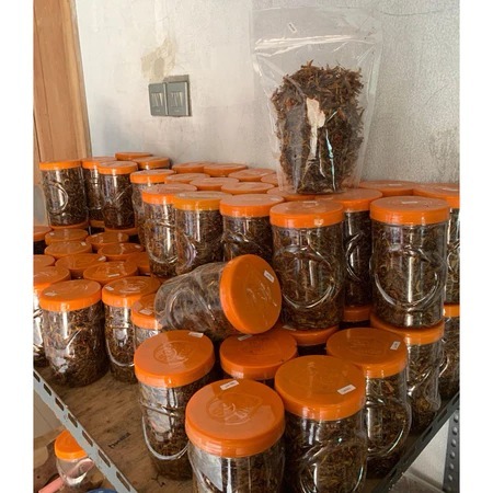 

BELALANG GORENG utis kecil