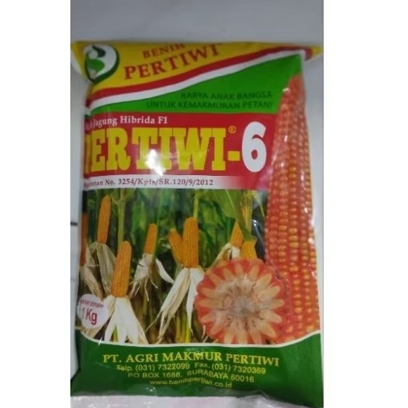 

Pertiwi 6 jagung