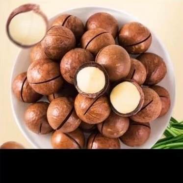 

kacang makadamia 500gr