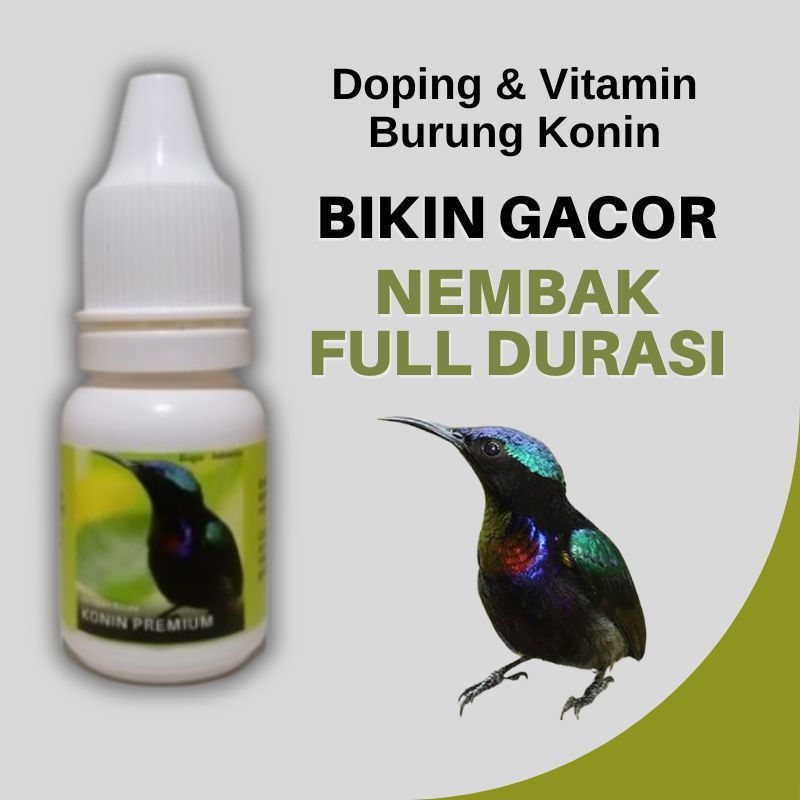 Vitamin Dan Doping Burung Konin Kolibri Ninja Premium Biar Gacor Plong Nembak Full Durasi