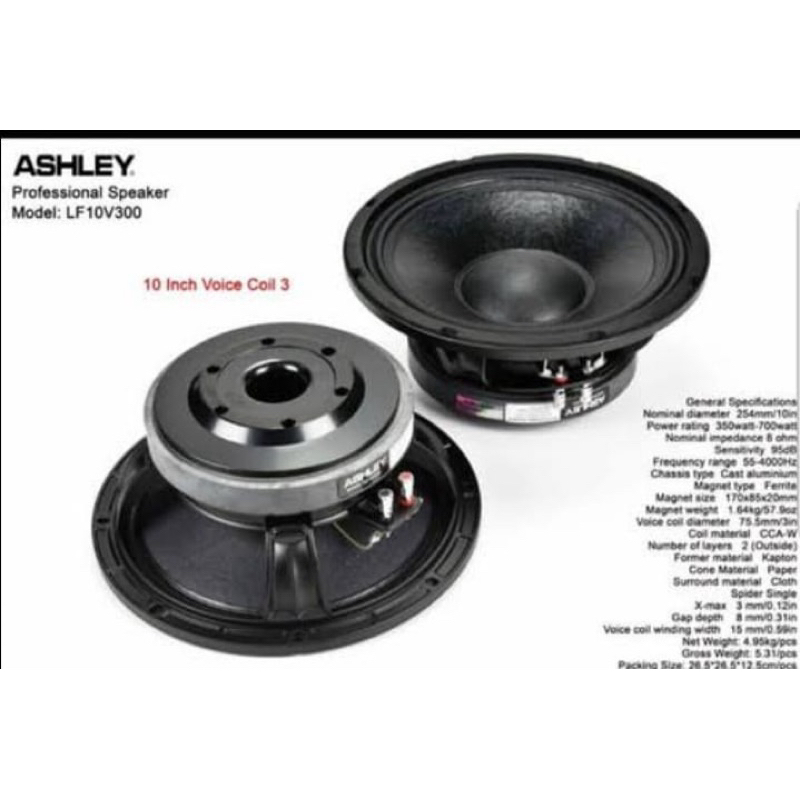 Speaker Ashley 10v300