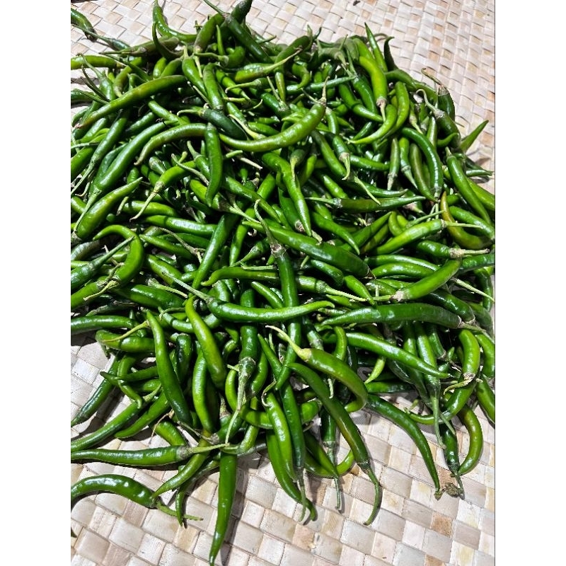 

CABAI BESAR HIJAU berat 1kg Banyuwangi