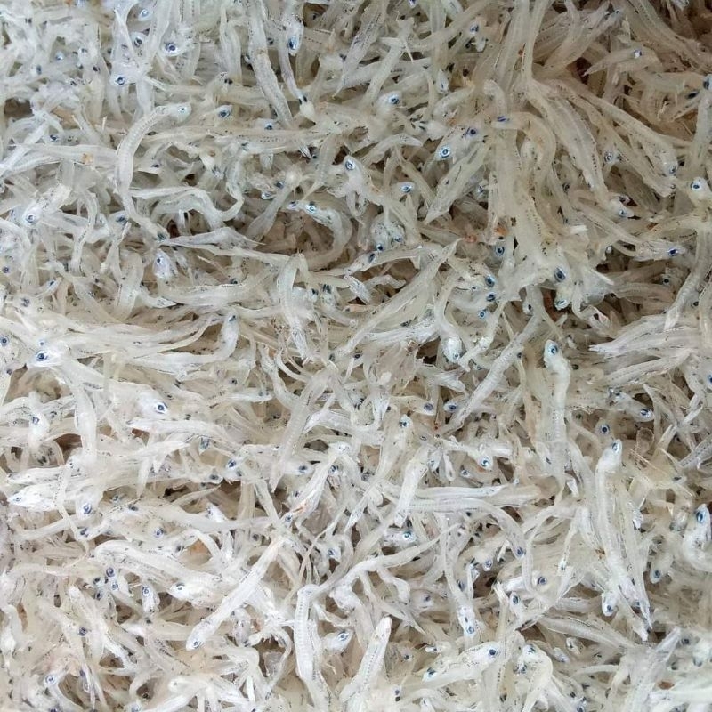 

IKAN TERI NASI TAWAR