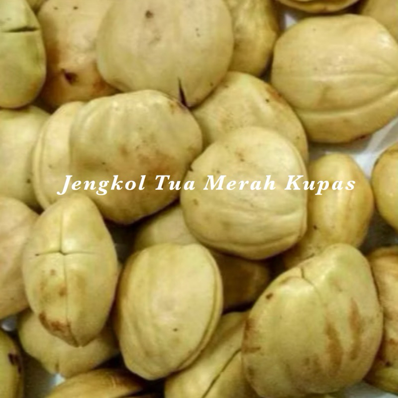 

Jengkol Kupas Tua Mentah 250gram, 500 gram, 1kg