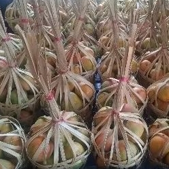 

Buah mangga gincu keranjang ±5kg