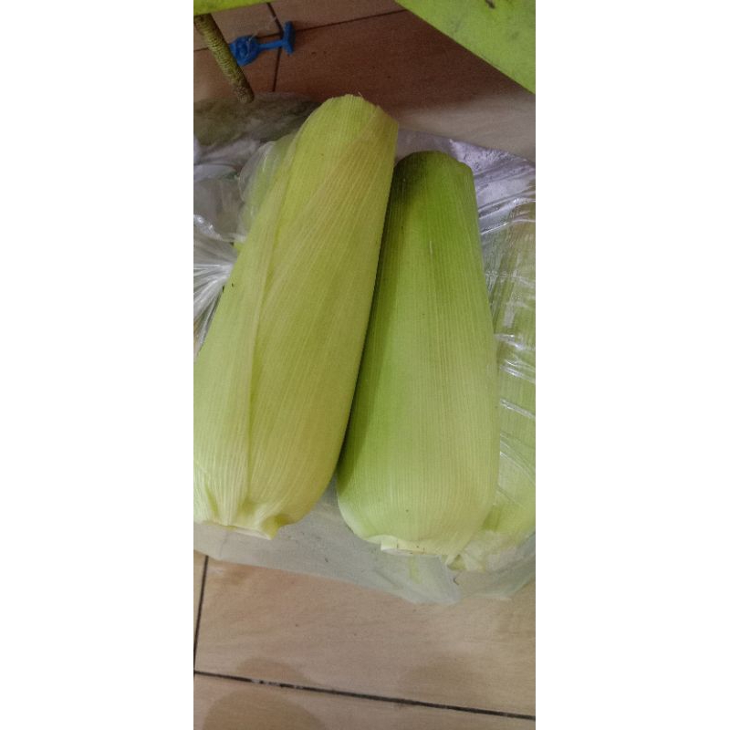 

Jagung Manis Kulit 1 Kg