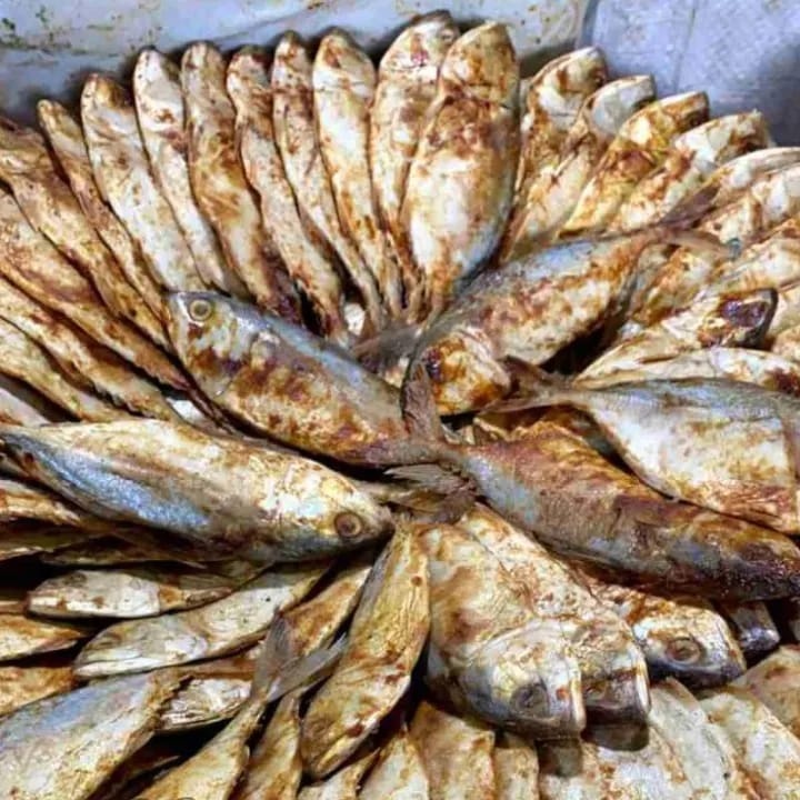 

Ikan Pedah merah dan Putih SUPER CIREBON