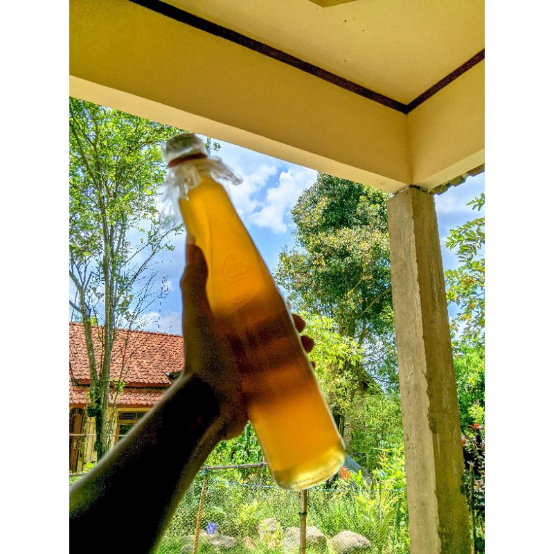 

madu asli alami hutan