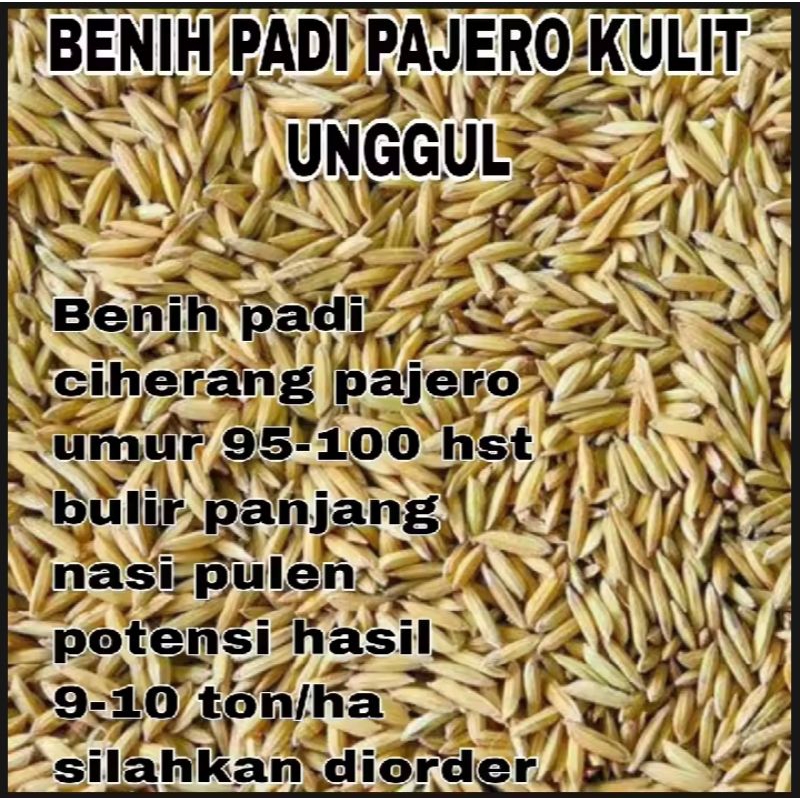 Benih padi CIHERANG PAJERO KULIT UNGGUL kemasan 1kg
