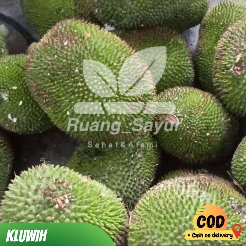 

Sayur Kluwih 1 pcs , Kluweh / Kluwih
