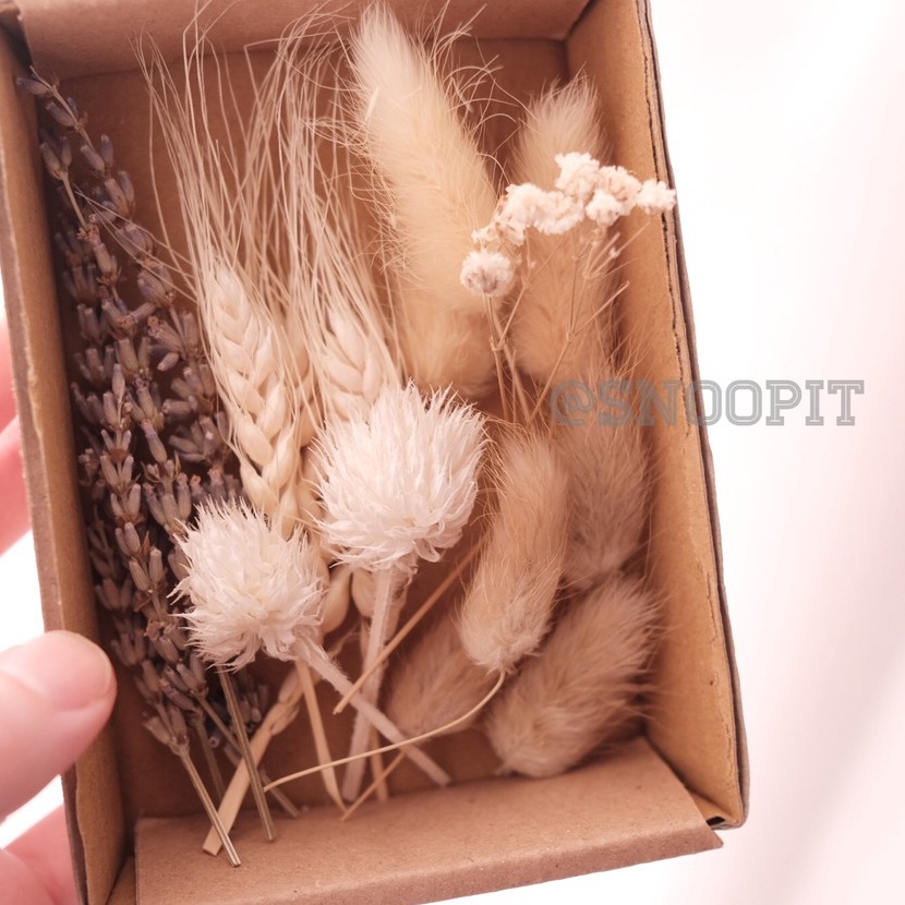 

FG2 Dried flower prakarya kerajinan tangan scrapbook DIY hiasan kartu dekorasi craft gift birthday