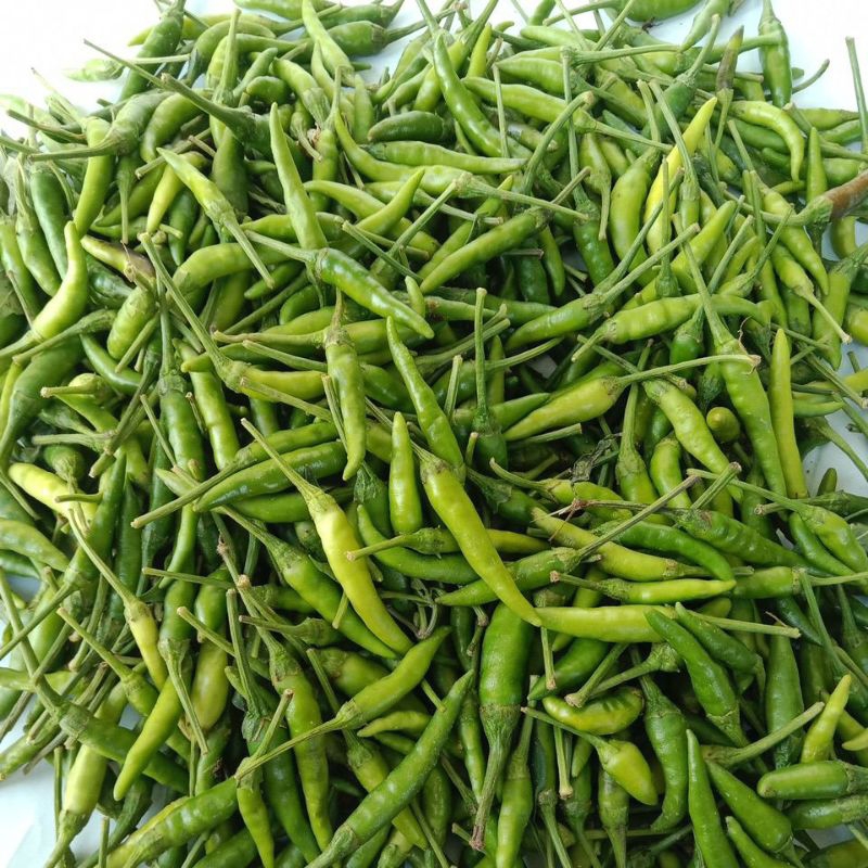 

cabe cabai rawit hijau pedas 1/2 kg