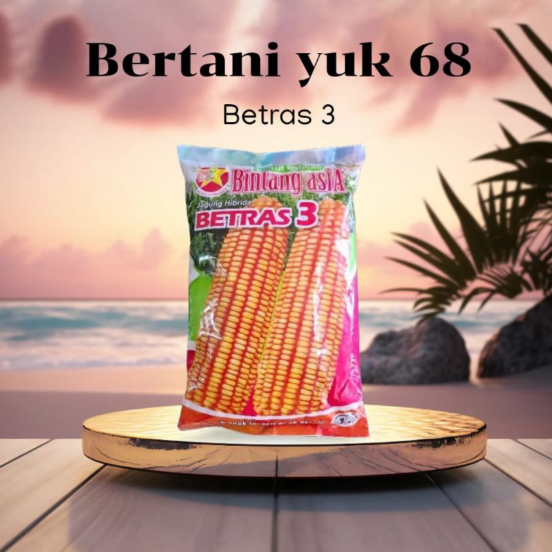 BENIH JAGUNG BETRAS 3