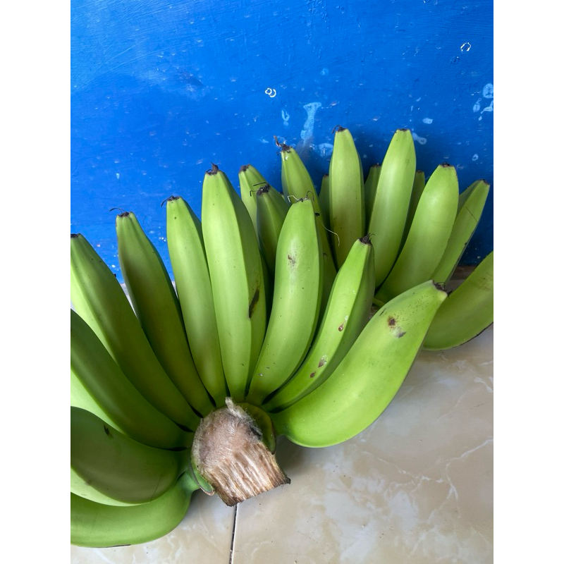 

pisang ambon Wonogiri jawa tengah