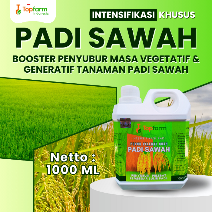 Pupuk Topfarm / Pupuk Cair Padi Sawah Terbaik / Pupuk Padi Khusus Masa Awal Tanam dan Masa Pembuah /