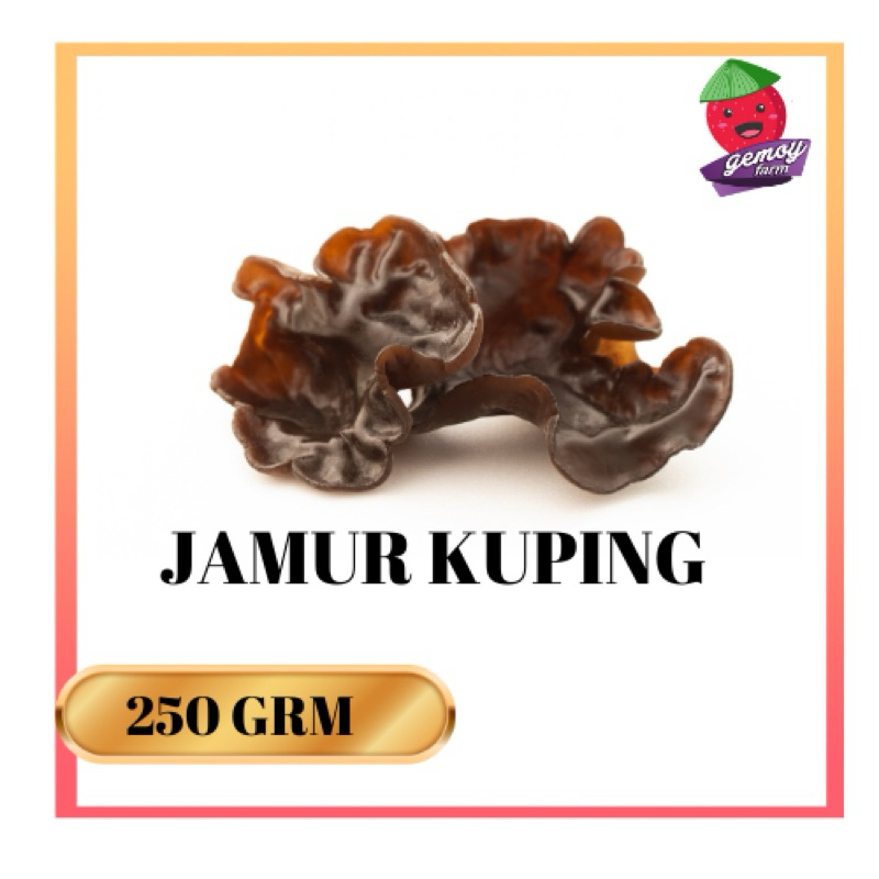 

Jamur Kuping Segar