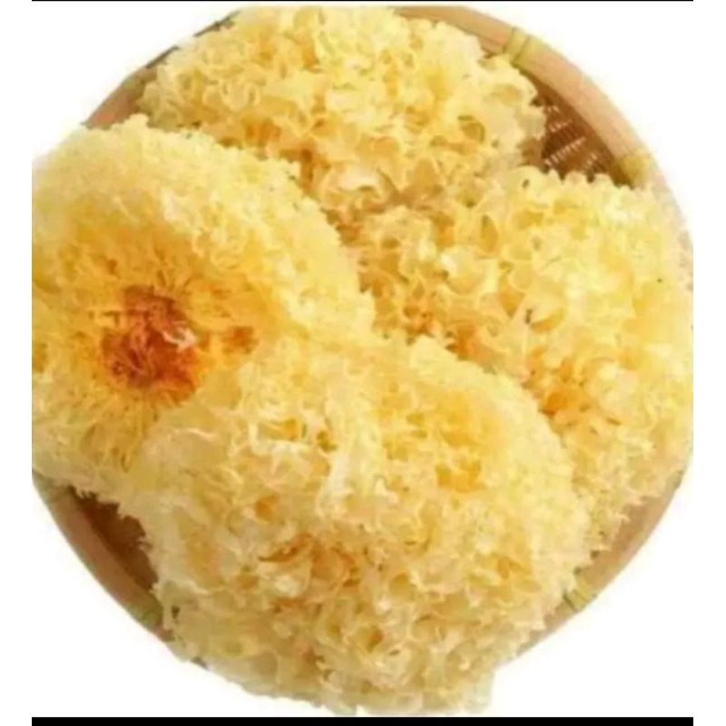 

Terjual Jamur Salju / Jamur Putih / Snow White Fungus Kemasan 100g