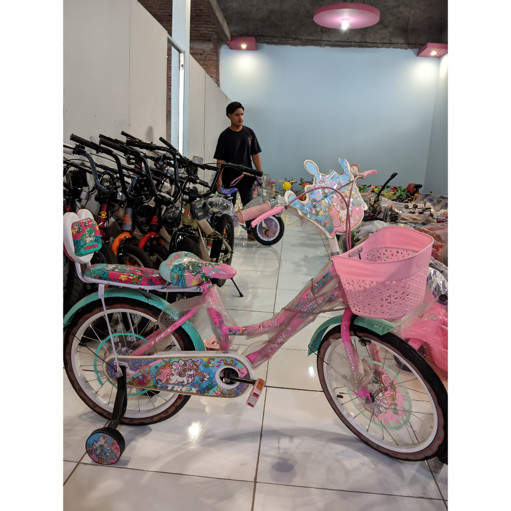 SEPEDA ANAK MINI TREX 18