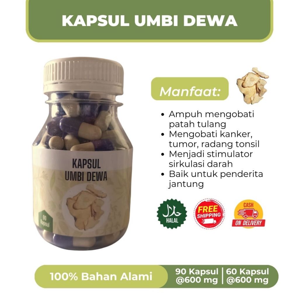 

KAPSUL UMBI DEWA/jantung, stroke, ampuh untuk patah tulang Dan anti kanker