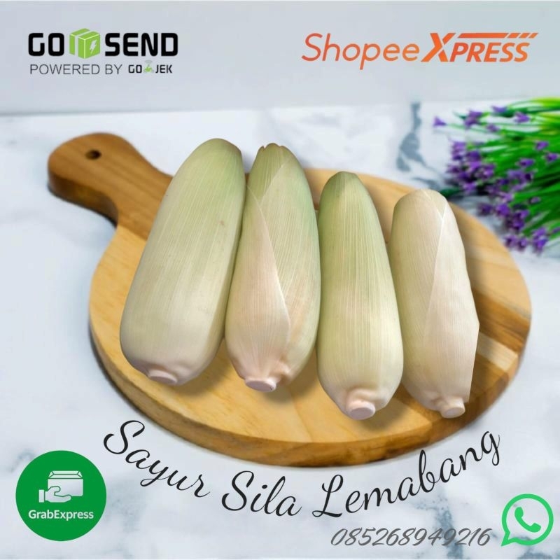 

Jagung Manis