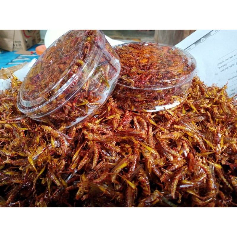 

BELALANG GORENG CEMILAN CRISPY PADI DAUN JERUK
