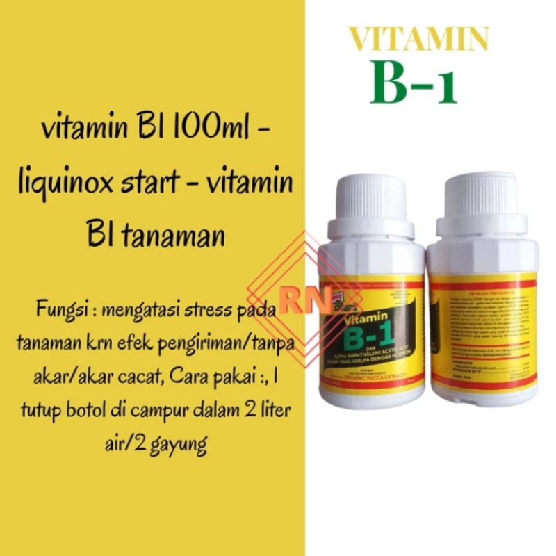 Liquinox vitamin B1