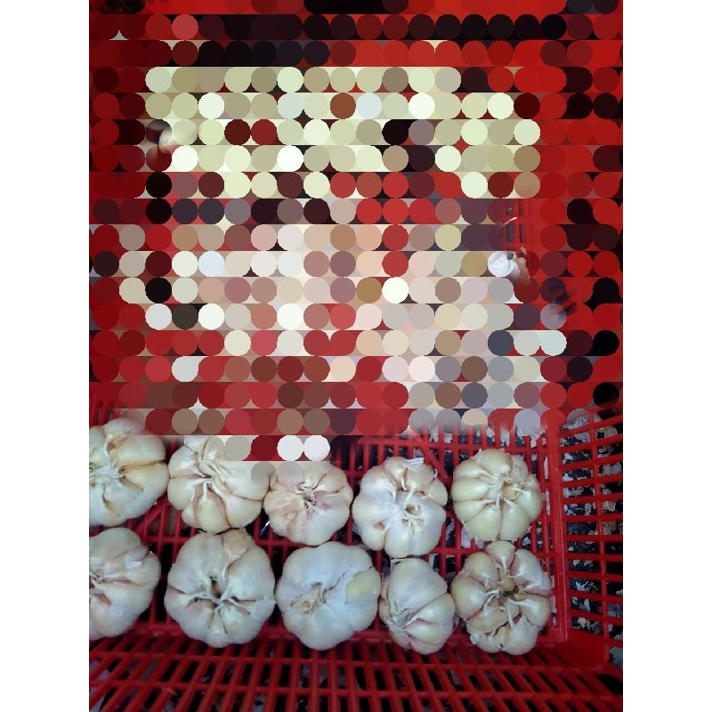 

Bawang Putih Bersih(BPB) 2000 aja