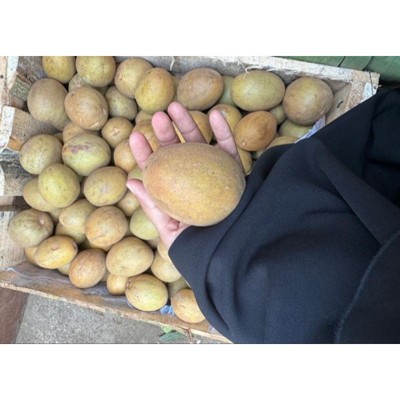 

SAWO MADU SUPER HARGA PER 1KG